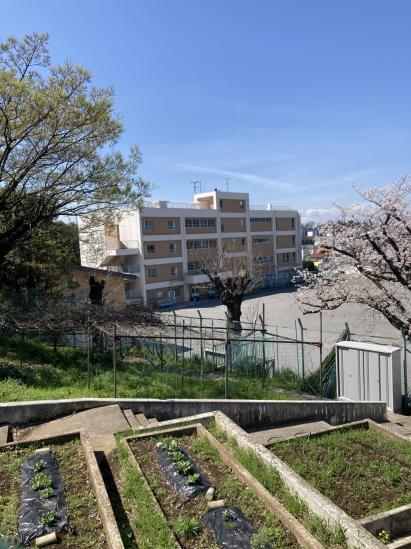 川崎市宮前区神木本町四丁目土地-10-小学校