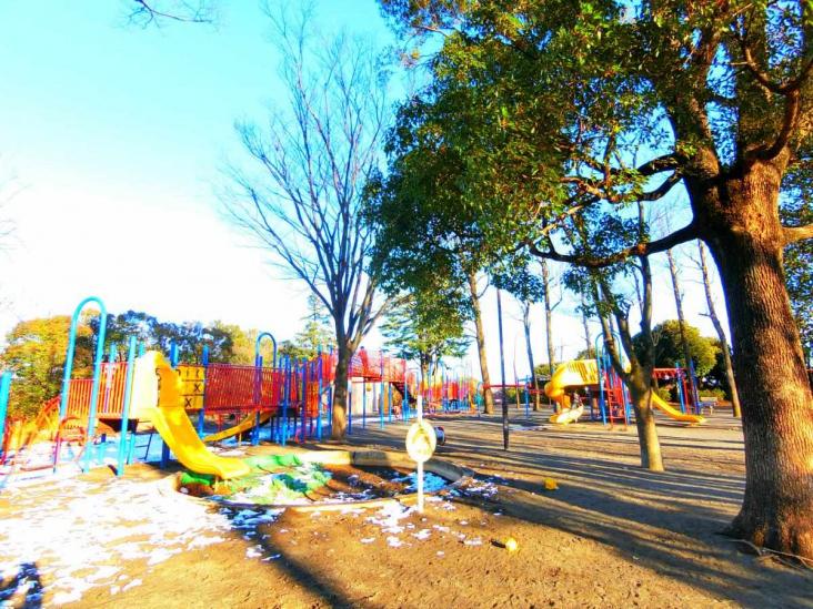 シーアイハイツたまプラーザパークヒルズＡ棟-24-公園