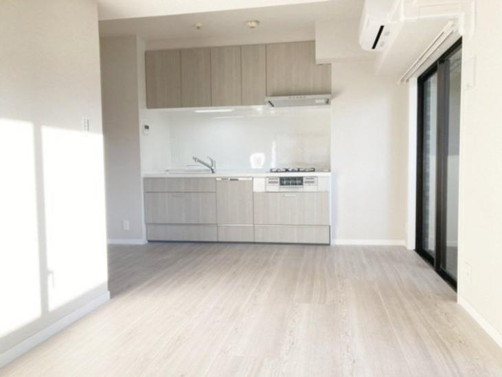 アドヴァンス川崎駅前-2-リビング