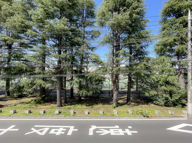 クレヴィア小杉御殿町-28-眺望