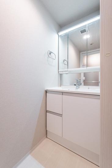 ニックハイム新丸子-12-洗面