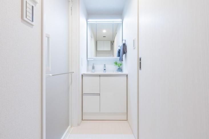 クレストフォルム川崎サウスステージ-9-洗面