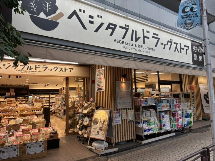 宮前平スカイハイツ-21-ドラッグストア