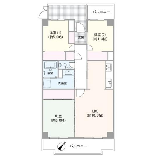 サニーハウス読売ランド-1-間取図(平面図)