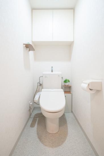 レクセルアベニュー東浦和-10-トイレ