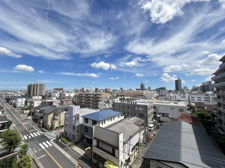 コスモ川口中青木公園-15-眺望