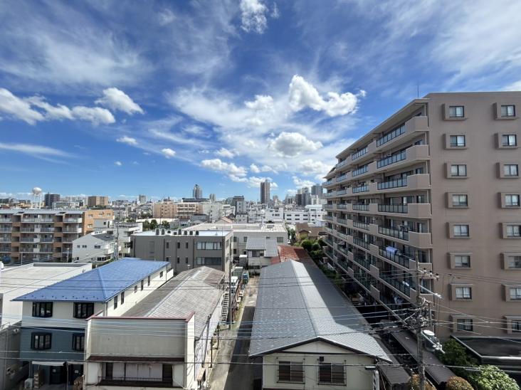 コスモ川口中青木公園-16-眺望