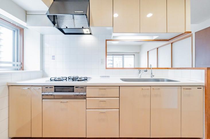 ハイムプラザ北浦和-5-キッチン