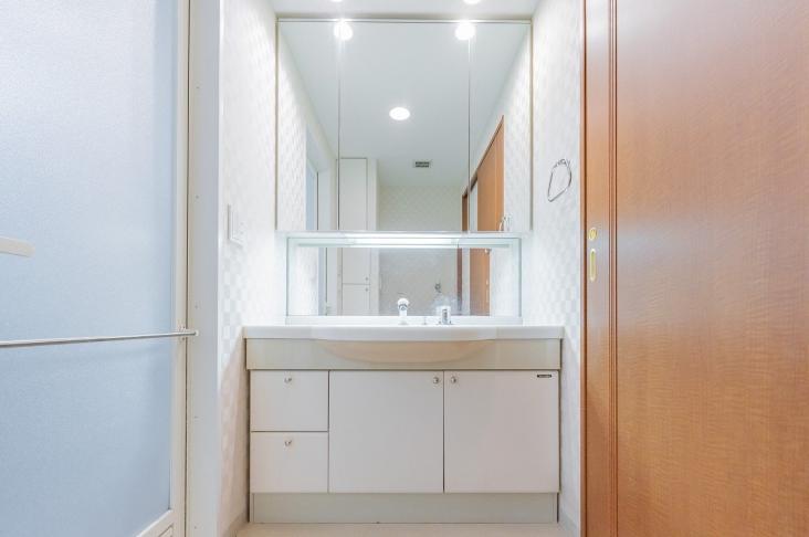 ハイムプラザ北浦和-8-洗面