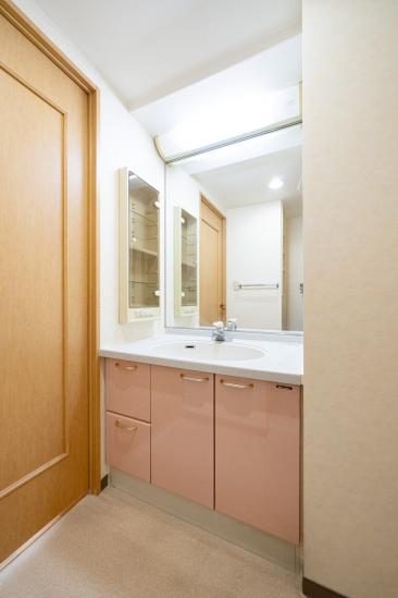 アイディーコート川口-28-洗面