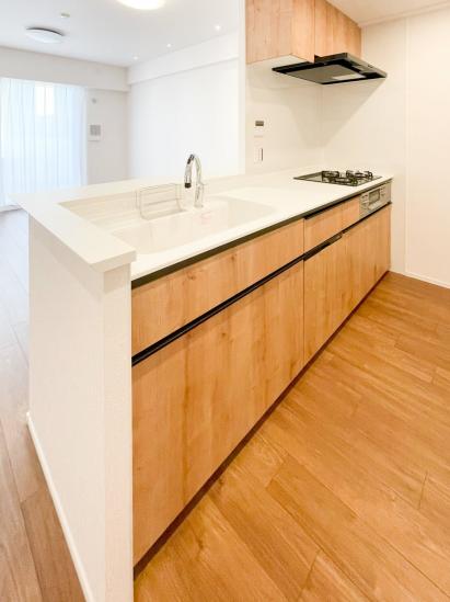 ルネ蕨ガーデンシティ-14-キッチン