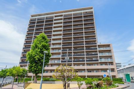 川口ティーブルー