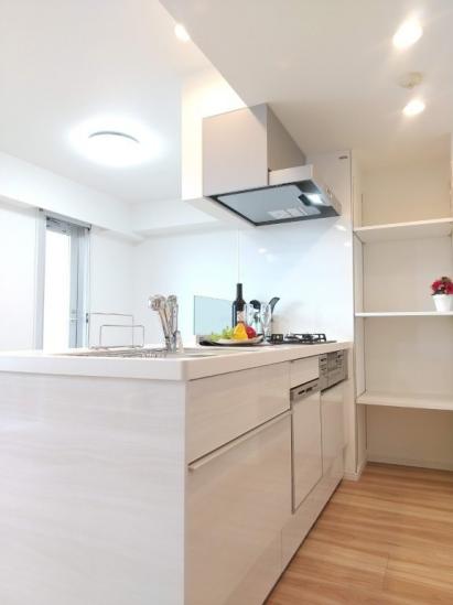 ライオンズプラザ川口-8-キッチン