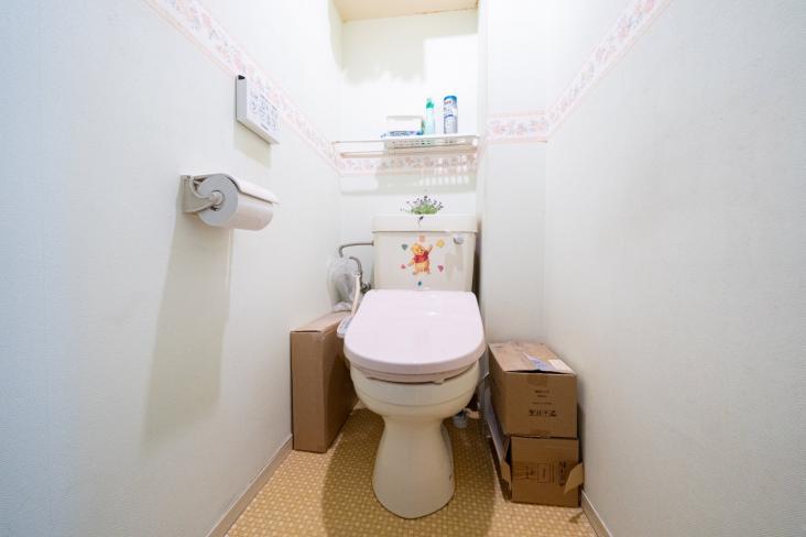 グリーンプラザ川口 1号棟-10-トイレ