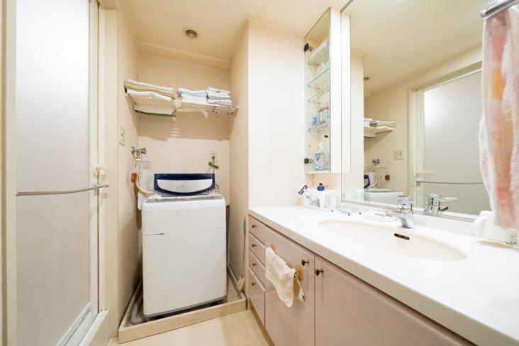 フロントシティ与野-17-洗面