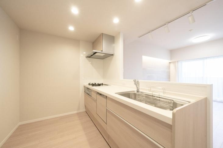 ハイセレサ川口ウインドフロウ-4-キッチン