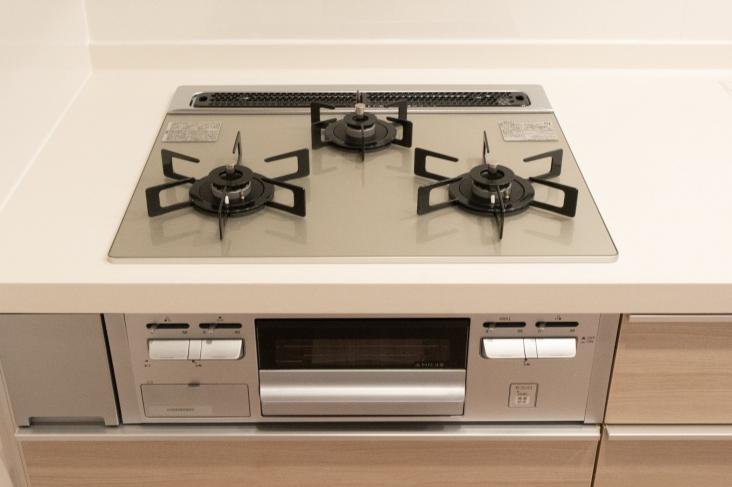 ハイセレサ川口ウインドフロウ-6-キッチン