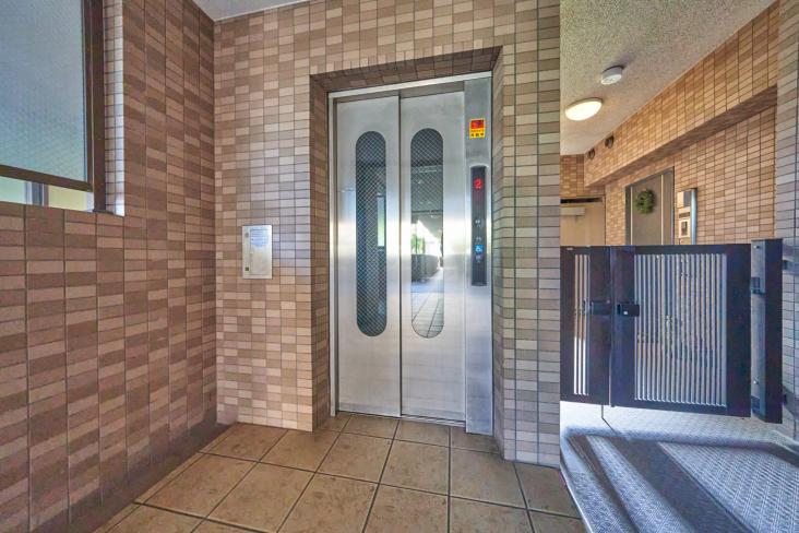 イトーピア川口元郷-11-共有部分