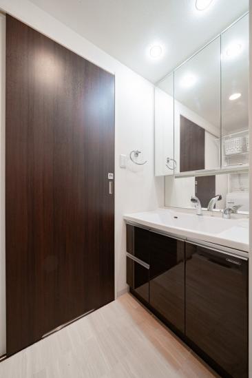 サンクレイドル東川口-7-洗面