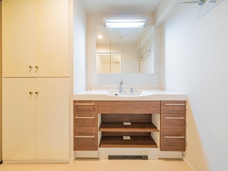 デュアルコート川口ウェストビュー-6-洗面