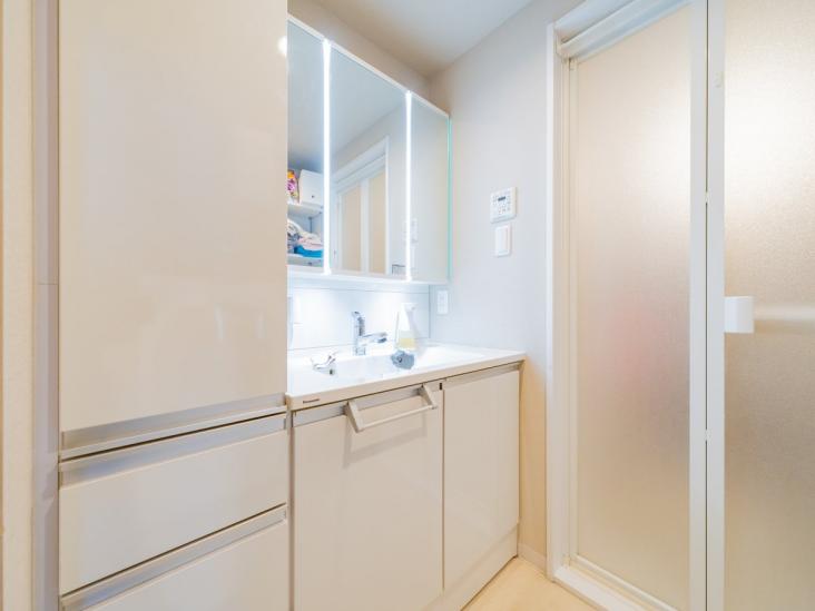 ルネ川口アグリア-8-洗面