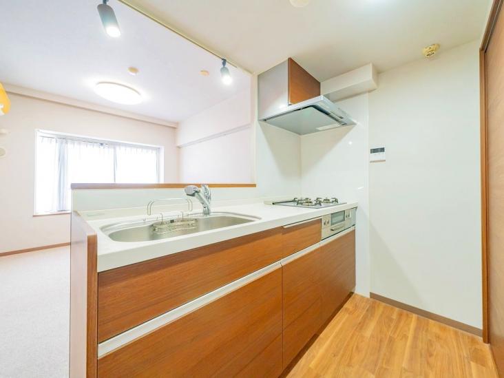 川口幸町パークホームズ-9-キッチン