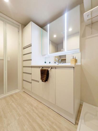 コスモ武蔵浦和プロシィード-20-洗面