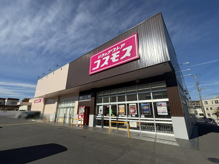 ウィズ戸田公園さくらの杜-10-ドラッグストア