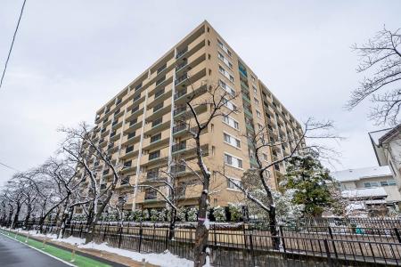 ウィズ戸田公園さくらの杜