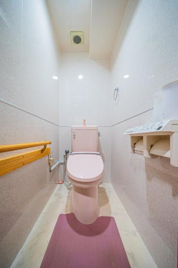 シャルマンコーポ鳩ケ谷-12-トイレ