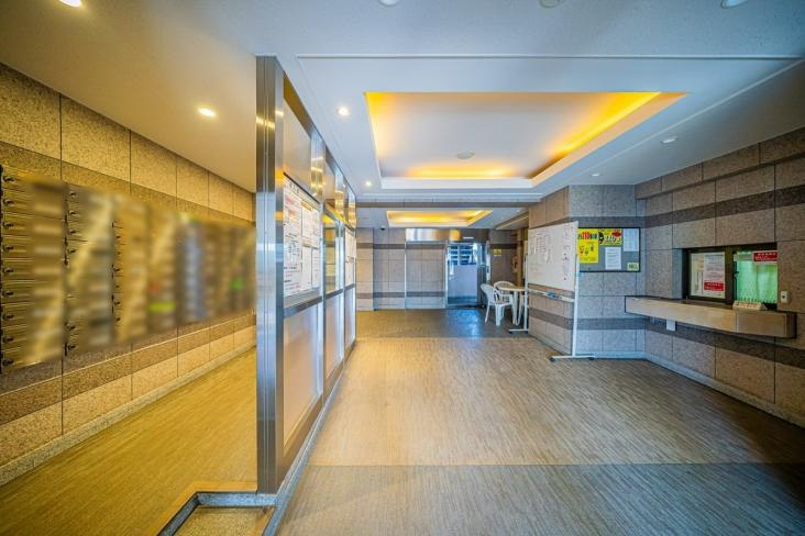 朝日プラザ鳩ケ谷クレセント-15-エントランス