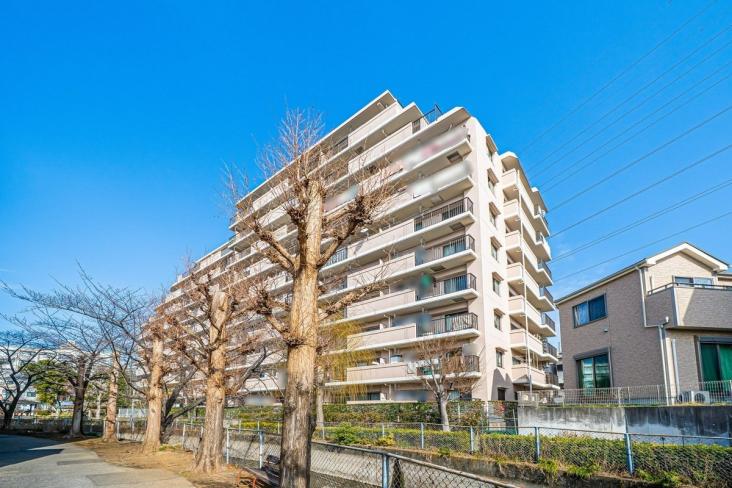 朝日プラザ鳩ケ谷クレセント-21-外観