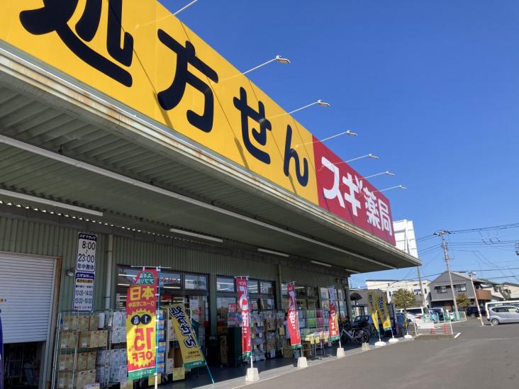 川口市桜町二丁目土地（古家有）-18-ドラッグストア