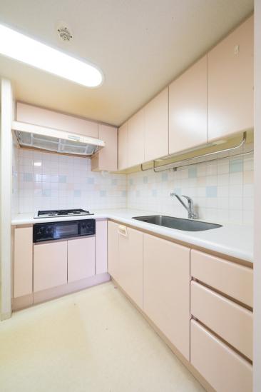 川口根岸パーク・ホームズ弐番館-5-キッチン