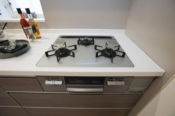 セレナハイム常盤公園-11-キッチン