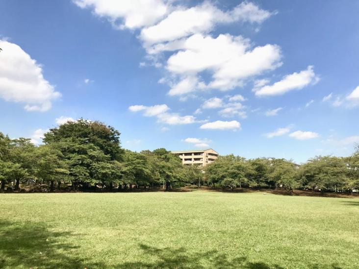 ライオンズマンション蕨市民公園-24-公園