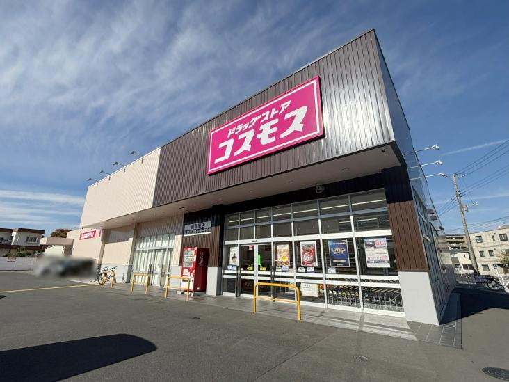 ハイラーク戸田公園-9-ドラッグストア