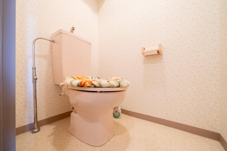 マートルコート川口-9-トイレ