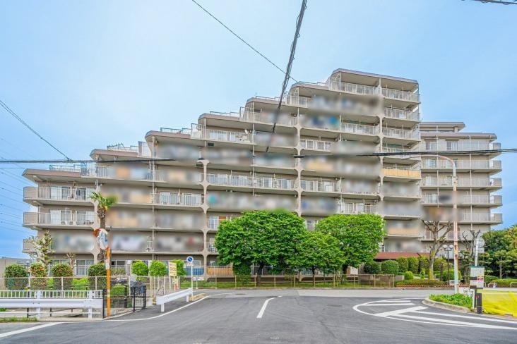 鳩ヶ谷スカイハイツ-2-外観