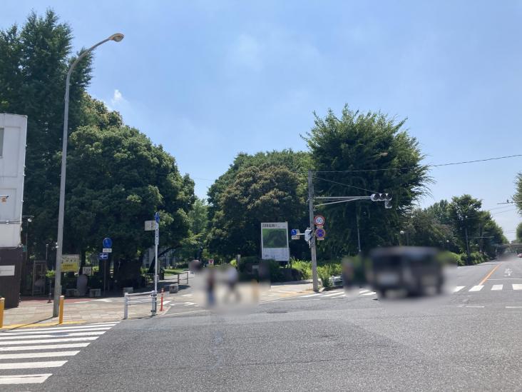 サンヴェール浦和常盤-29-公園