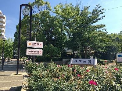 幹線谷津マンション-15-公園