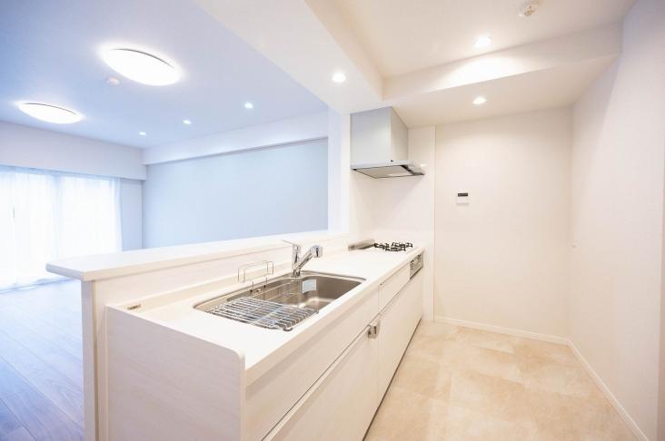 ルネ・アクシアム-19-キッチン