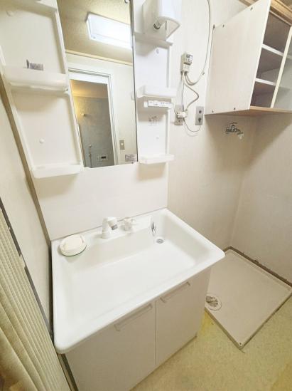 ソフトタウン谷津遊園2号棟-12-洗面