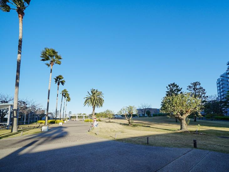 シーガーデン新浦安　Ｅ棟-8-共有部分