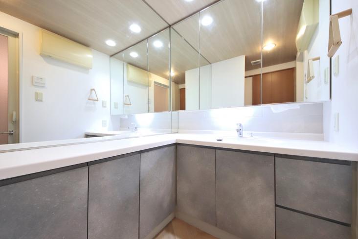 メイツ船橋ウェストハウス-7-洗面