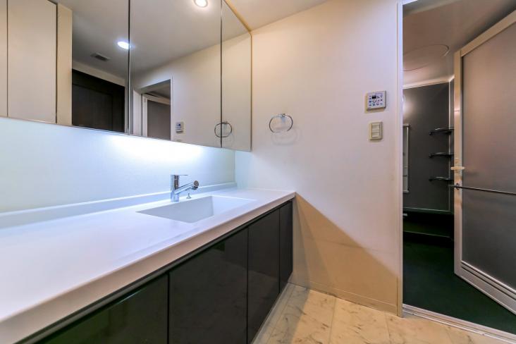 ワンダーベイシティＳＡＺＡＮ　フロントウイング -6-洗面