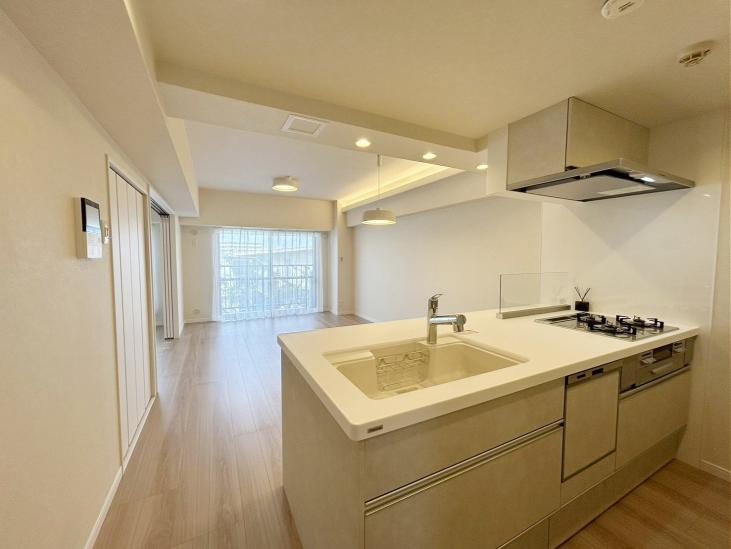 コスモ市川パサージュ-18-リビング