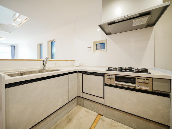 市川市北方一丁目戸建-10-玄関