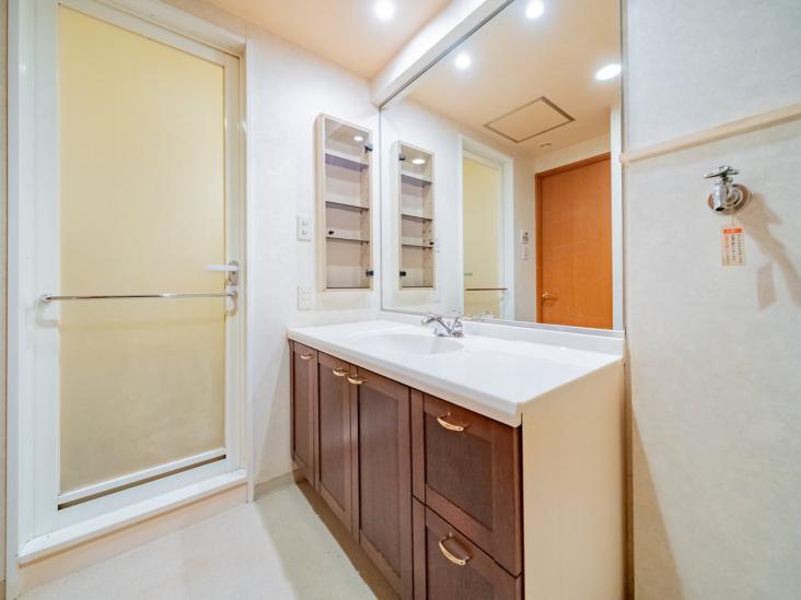 ステイツ行徳ＥＡＳＴ-8-洗面