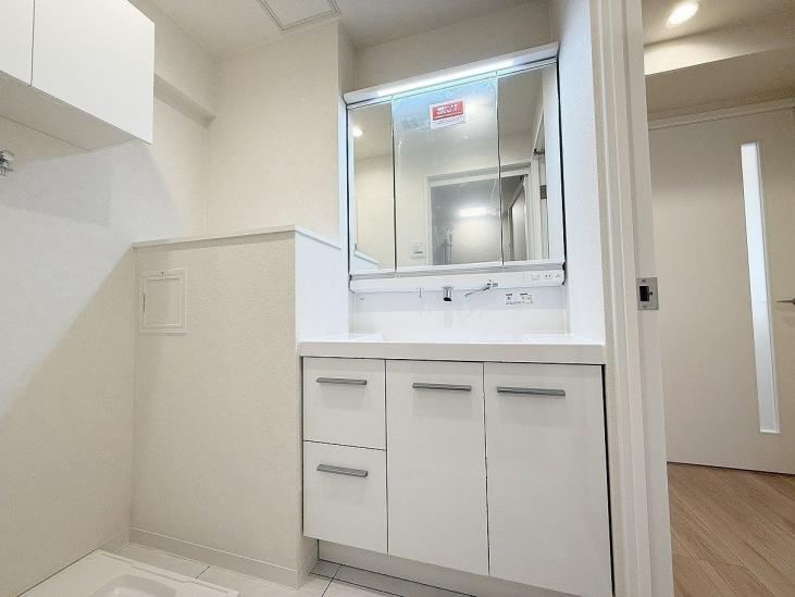 ソフトタウン谷津遊園２号棟-11-洗面